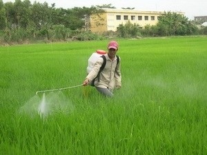 UNDP và Việt Nam hợp tác triển khai dự án quản lý hóa chất an toàn - ảnh 1